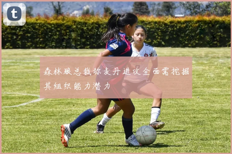 森林狼总裁称麦丹进攻全面需挖掘其组织能力潜力