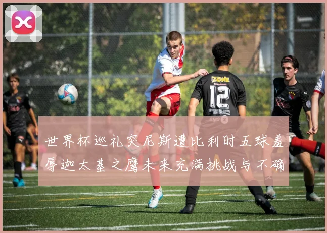 世界杯巡礼突尼斯遭比利时五球羞辱迦太基之鹰未来充满挑战与不确定性