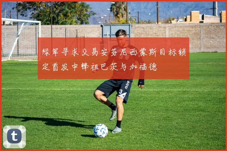 绿军寻求交易安芬尼西蒙斯目标锁定首发中锋祖巴茨与加福德